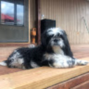 Meet your Posher, Elizabeth